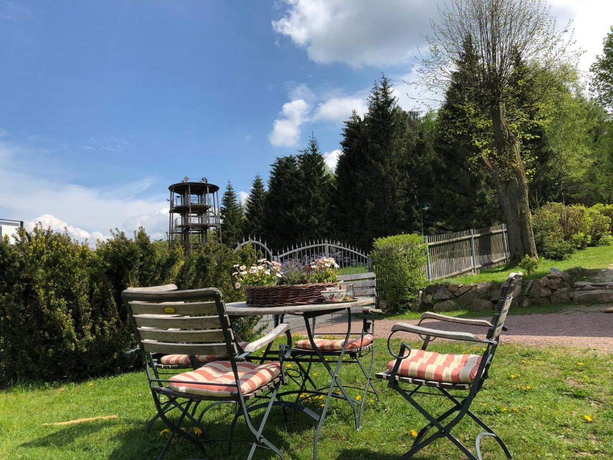 Villa Marie Ferienwohnungen Altenberg Екстер'єр фото