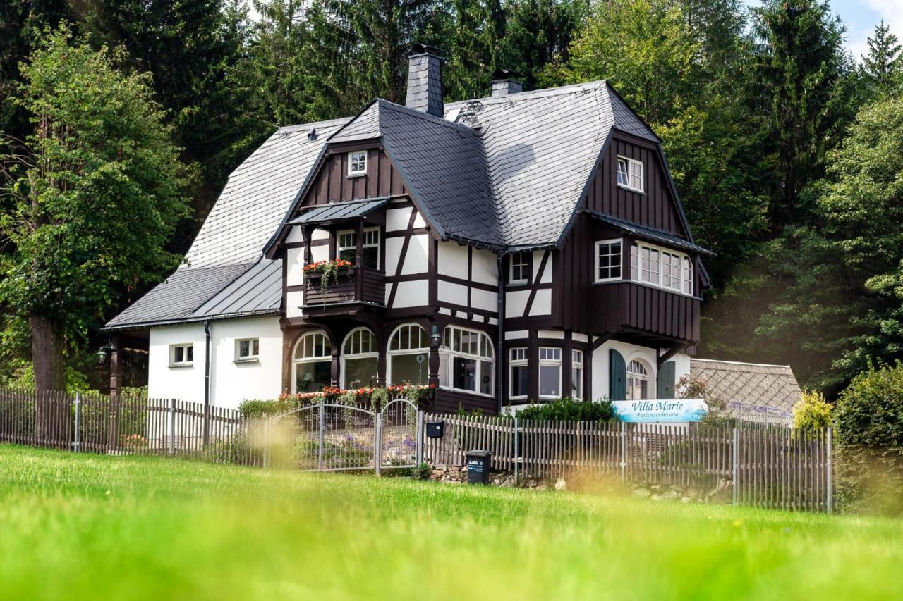 Villa Marie Ferienwohnungen Altenberg Екстер'єр фото