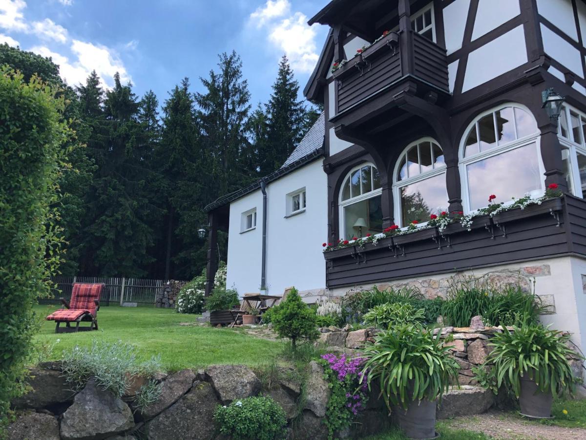 Villa Marie Ferienwohnungen Altenberg Екстер'єр фото