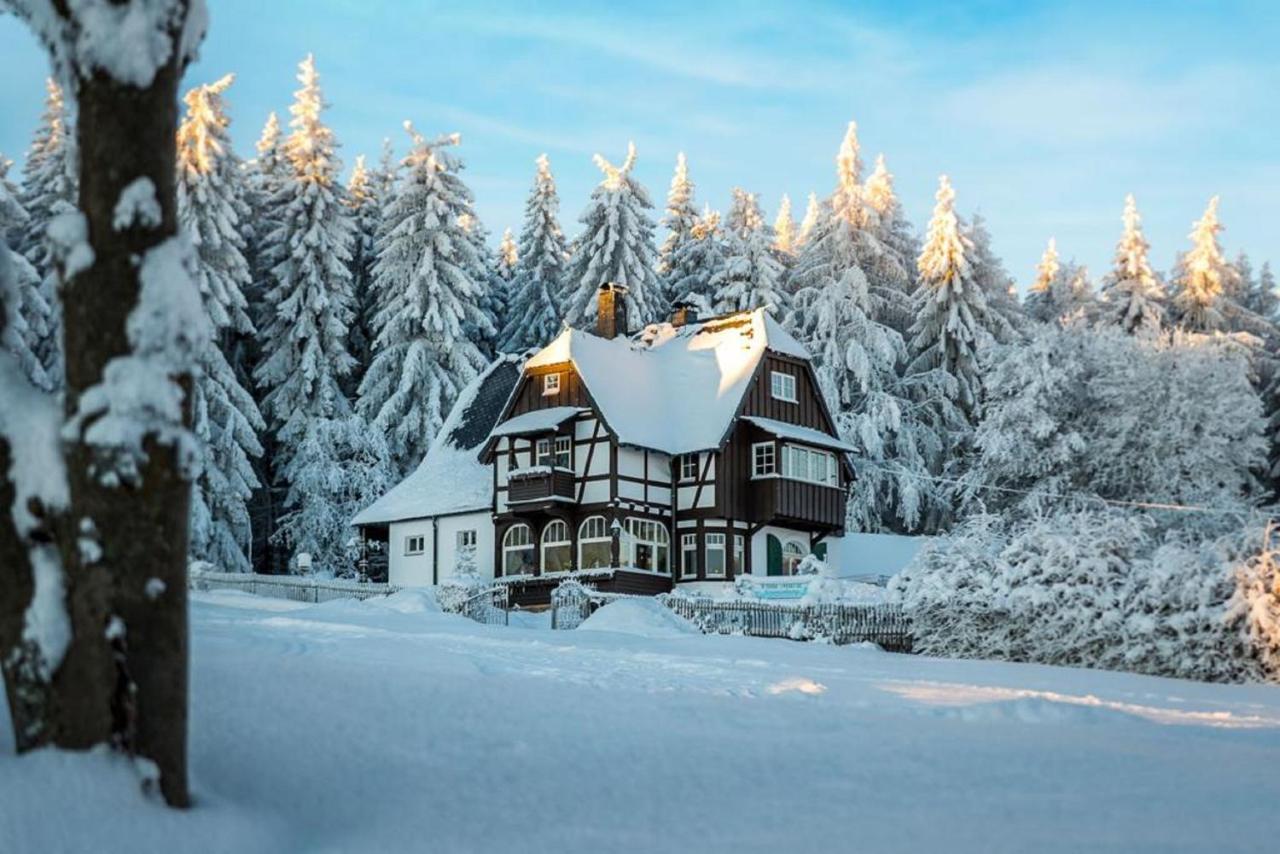 Villa Marie Ferienwohnungen Altenberg Екстер'єр фото
