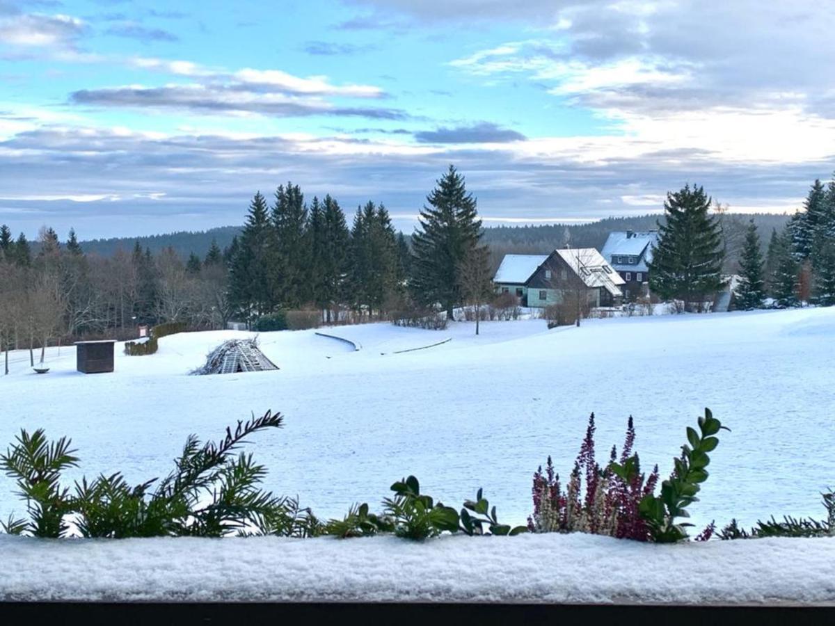 Villa Marie Ferienwohnungen Altenberg Екстер'єр фото
