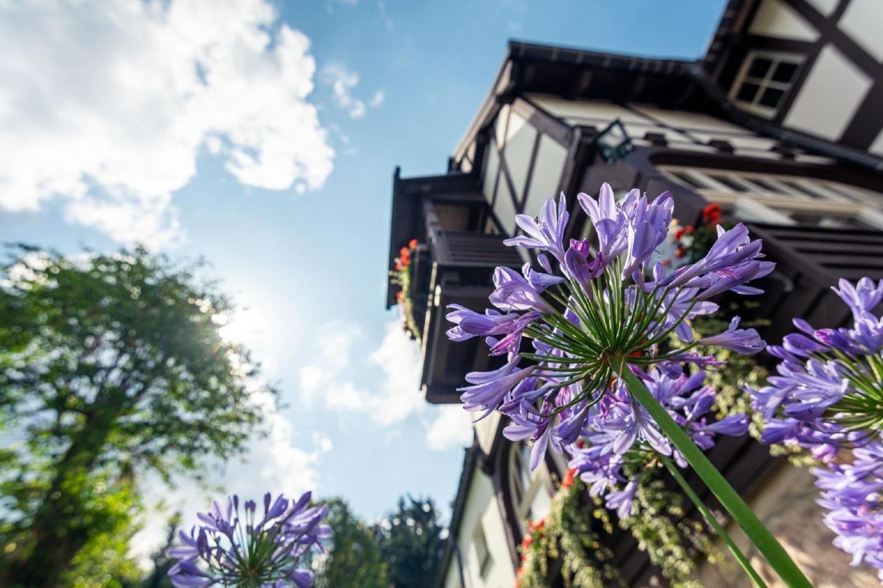 Villa Marie Ferienwohnungen Altenberg Екстер'єр фото