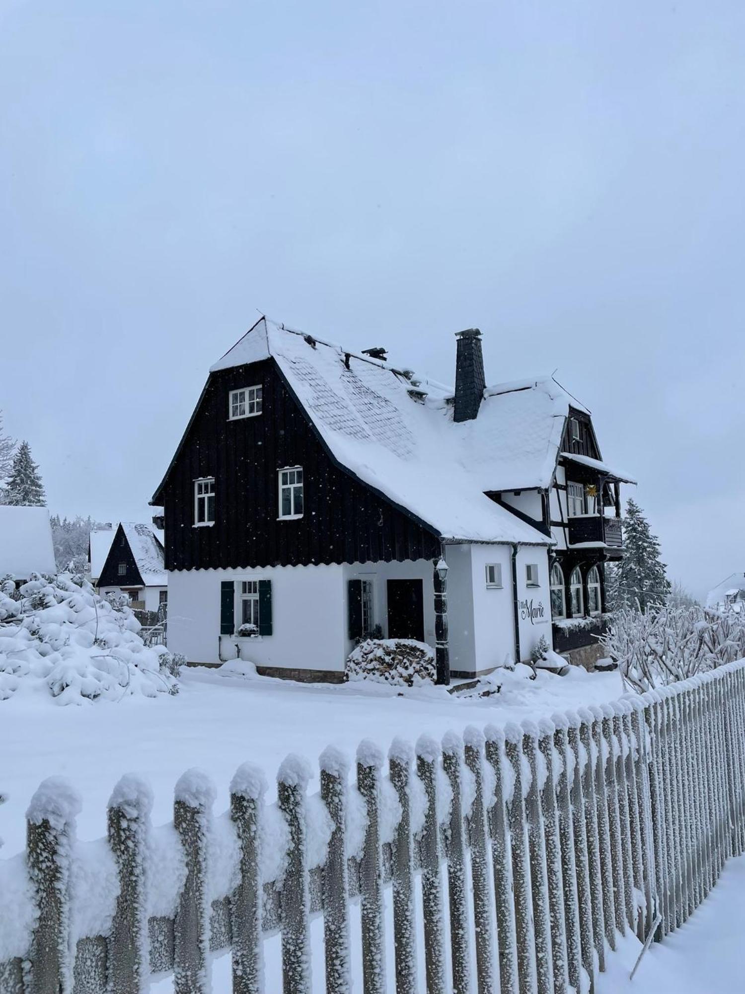 Villa Marie Ferienwohnungen Altenberg Екстер'єр фото