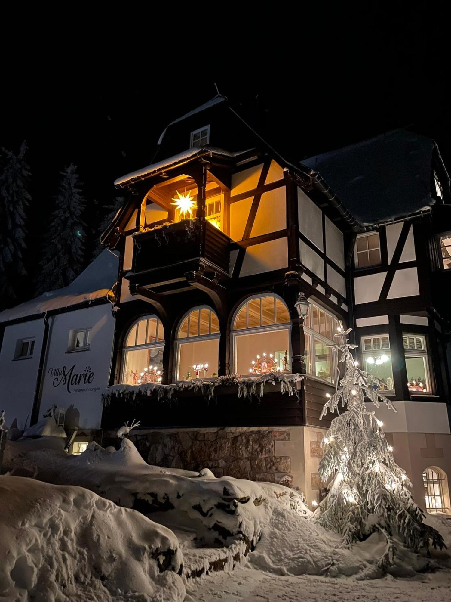 Villa Marie Ferienwohnungen Altenberg Екстер'єр фото