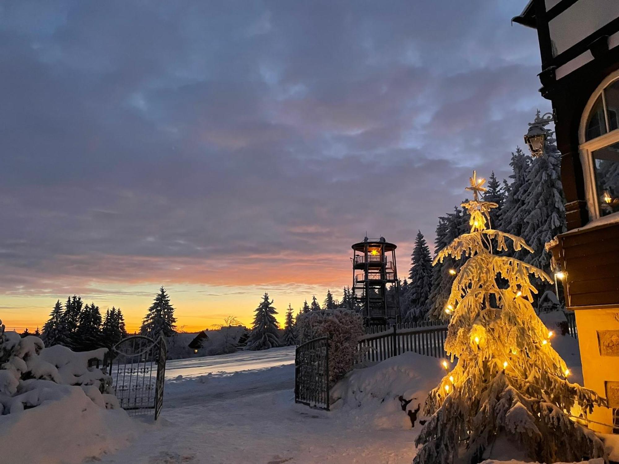 Villa Marie Ferienwohnungen Altenberg Екстер'єр фото